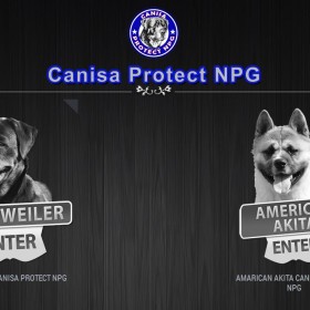 Website Canisa Protect NPG